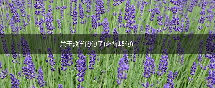 关于数学的句子(必备15句),第1张