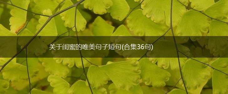 关于闺蜜的唯美句子短句(合集36句),第1张