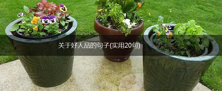 关于好人品的句子(实用20句),第1张