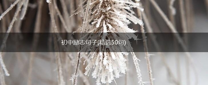 初中励志句子(精选50句),第1张