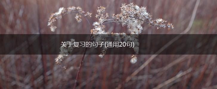 关于复习的句子(通用20句),第1张