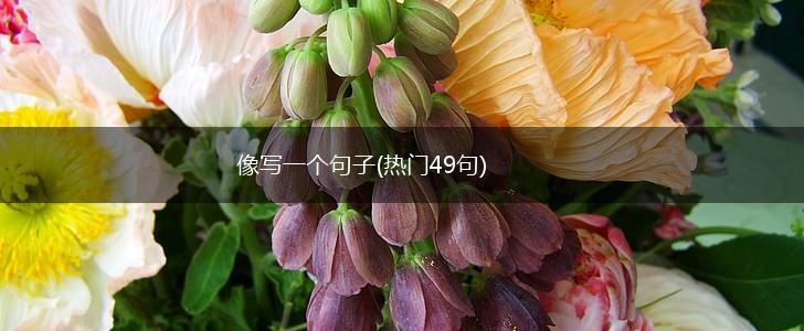 像写一个句子(热门49句),第1张