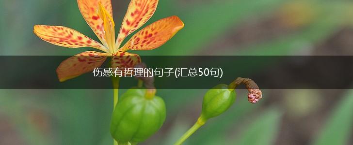 伤感有哲理的句子(汇总50句),第1张