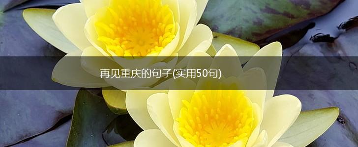 再见重庆的句子(实用50句),第1张