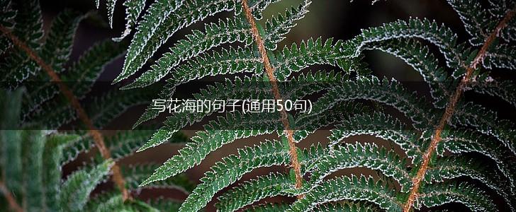 写花海的句子(通用50句),第1张