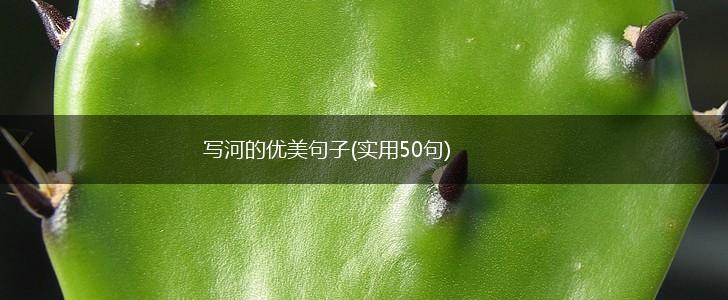写河的优美句子(实用50句),第1张