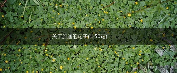 关于旅途的句子(共50句),第1张