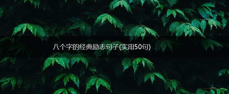 八个字的经典励志句子(实用50句),第1张