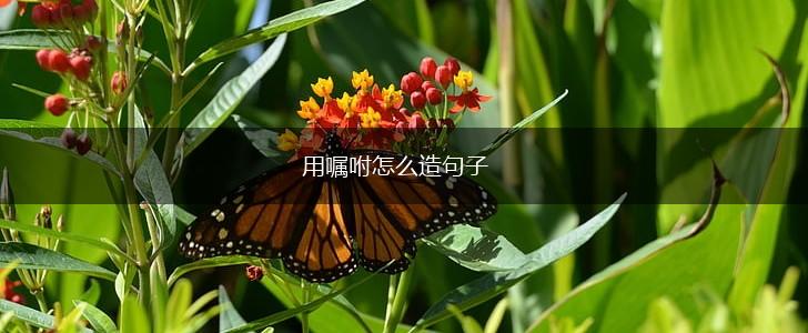 用嘱咐怎么造句子,第1张