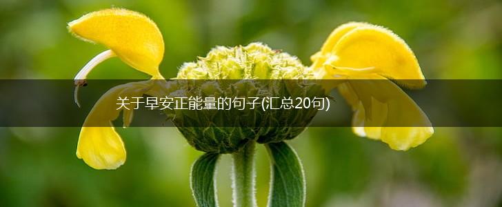 关于早安正能量的句子(汇总20句),第1张