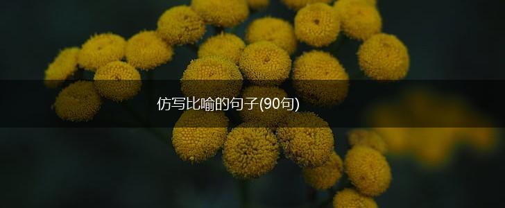 仿写比喻的句子(90句),第1张