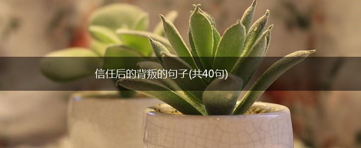 信任后的背叛的句子(共40句),第1张