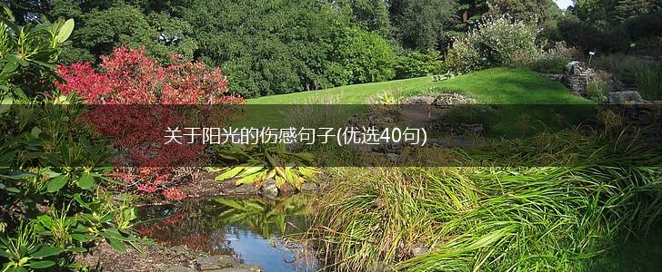 关于阳光的伤感句子(优选40句),第1张