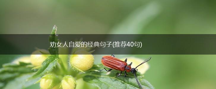 劝女人自爱的经典句子(推荐40句),第1张