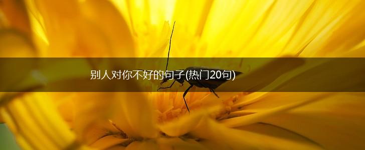 别人对你不好的句子(热门20句),第1张