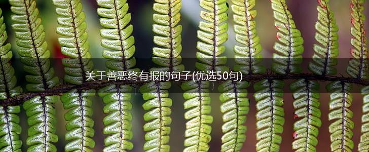 关于善恶终有报的句子(优选50句),第1张