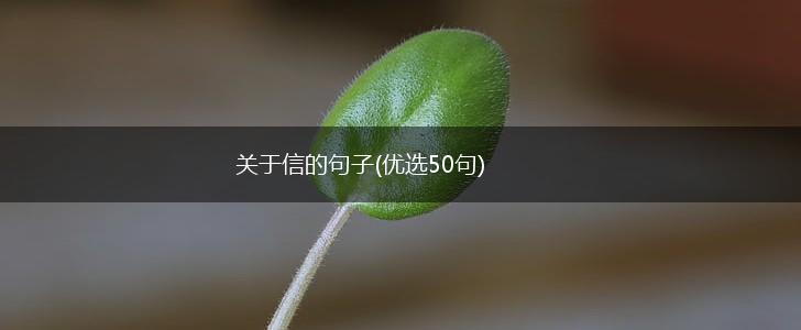 关于信的句子(优选50句),第1张