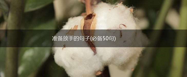 准备放手的句子(必备50句),第1张