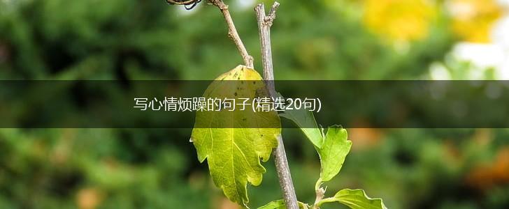 写心情烦躁的句子(精选20句),第1张