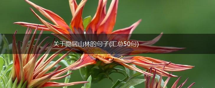 关于隐居山林的句子(汇总50句),第1张