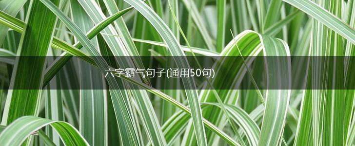 六字霸气句子(通用50句),第1张
