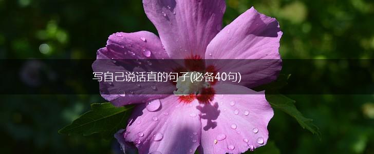 写自己说话直的句子(必备40句),第1张
