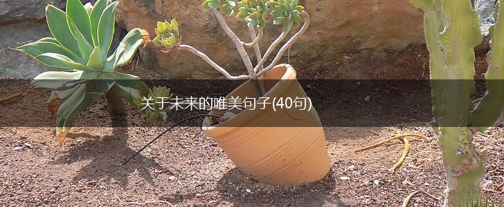 关于未来的唯美句子(40句),第1张