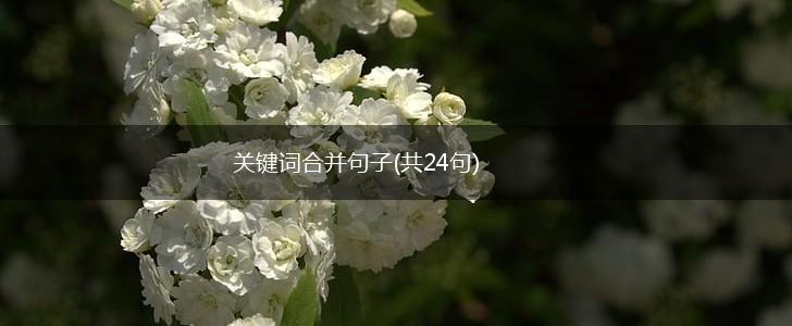 关键词合并句子(共24句),第1张
