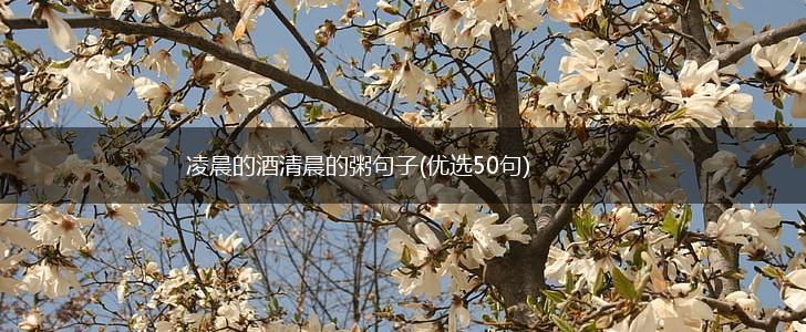 凌晨的酒清晨的粥句子(优选50句),第1张