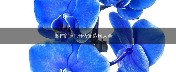 蒸馏造句_用蒸馏造句大全,第1张