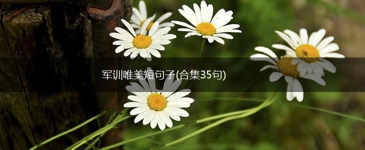 军训唯美短句子(合集35句),第1张