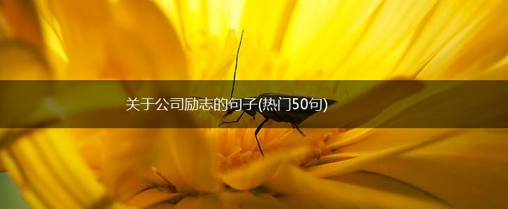 关于公司励志的句子(热门50句),第1张