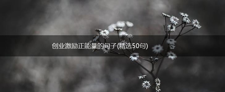 创业激励正能量的句子(精选50句),第1张