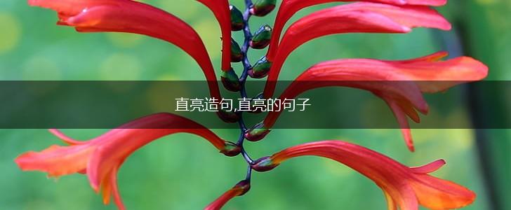 直亮造句,直亮的句子,第1张