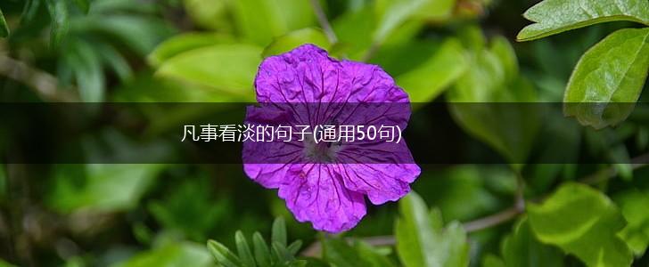 凡事看淡的句子(通用50句),第1张