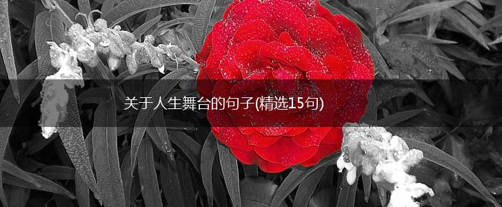 关于人生舞台的句子(精选15句),第1张
