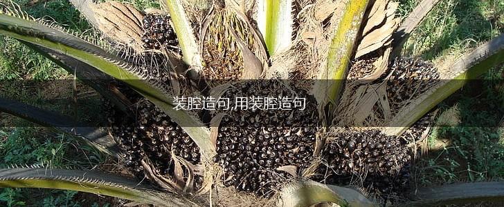 装腔造句,用装腔造句,第1张
