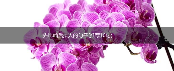 先比喻后拟人的句子(推荐10句),第1张
