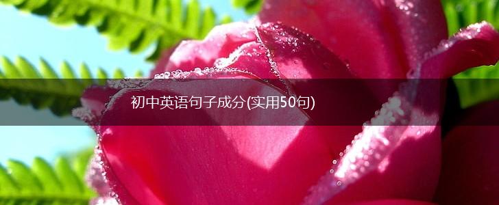 初中英语句子成分(实用50句),第1张