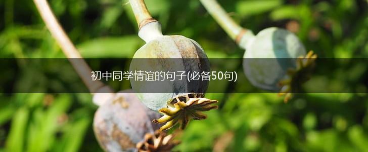 初中同学情谊的句子(必备50句),第1张