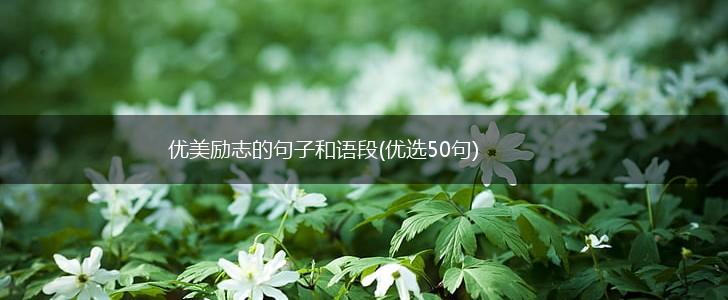 优美励志的句子和语段(优选50句),第1张