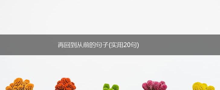 再回到从前的句子(实用20句),第1张