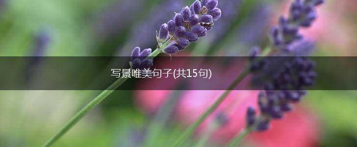写景唯美句子(共15句),第1张
