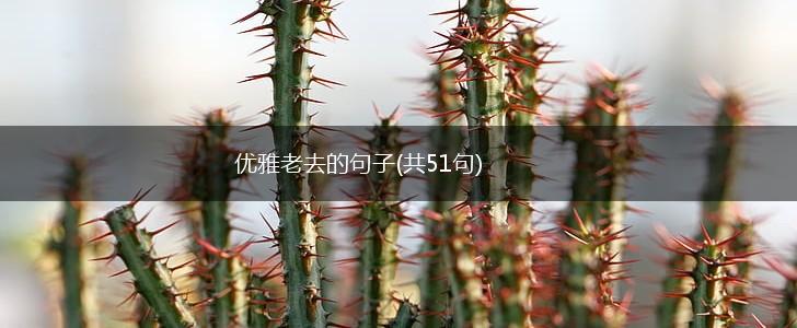 优雅老去的句子(共51句),第1张