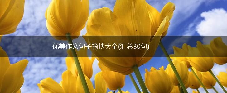 优美作文句子摘抄大全(汇总30句),第1张