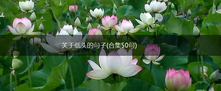 关于低头的句子(合集50句),第1张
