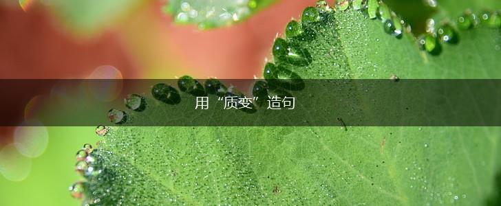 用“质变”造句,第1张
