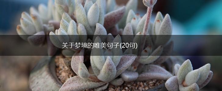 关于梦境的唯美句子(20句),第1张