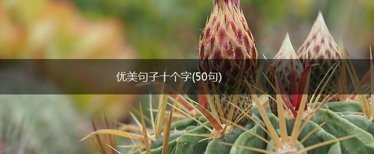 优美句子十个字(50句),第1张