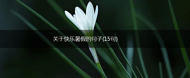 关于快乐暑假的句子(15句),第1张